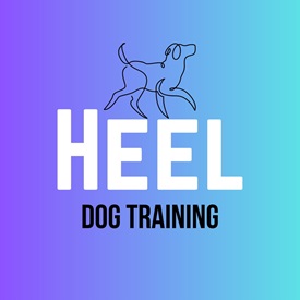 Heel-dog training photo